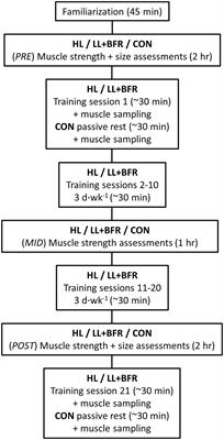 Muscle Adaptations to Heavy-Load and Blood Flow Restriction Resistance Training Methods